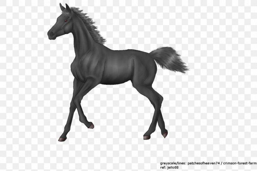 Mustang Foal Stallion Colt Mare, PNG, 1096x729px, Mustang, Animal Figure, Black And White, Bridle, Colt Download Free