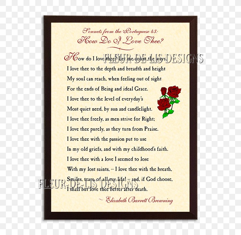 The Passionate Shepherd To His Love Dachmed Interneshanal Dutchmed B.V. Patient, PNG, 600x800px, Patient, Christopher Marlowe, Floral Design, Flower, Greeting Card Download Free