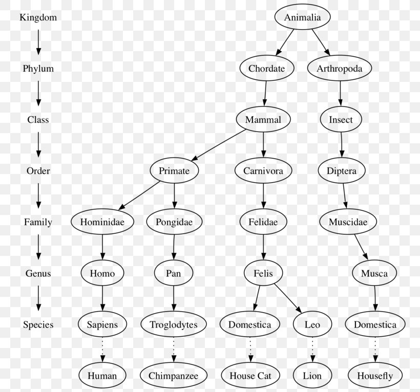 Tree Data Structure Algorithm Computer Science, PNG, 780x766px, Tree, Algorithm, Area, Black And White, Computer Science Download Free