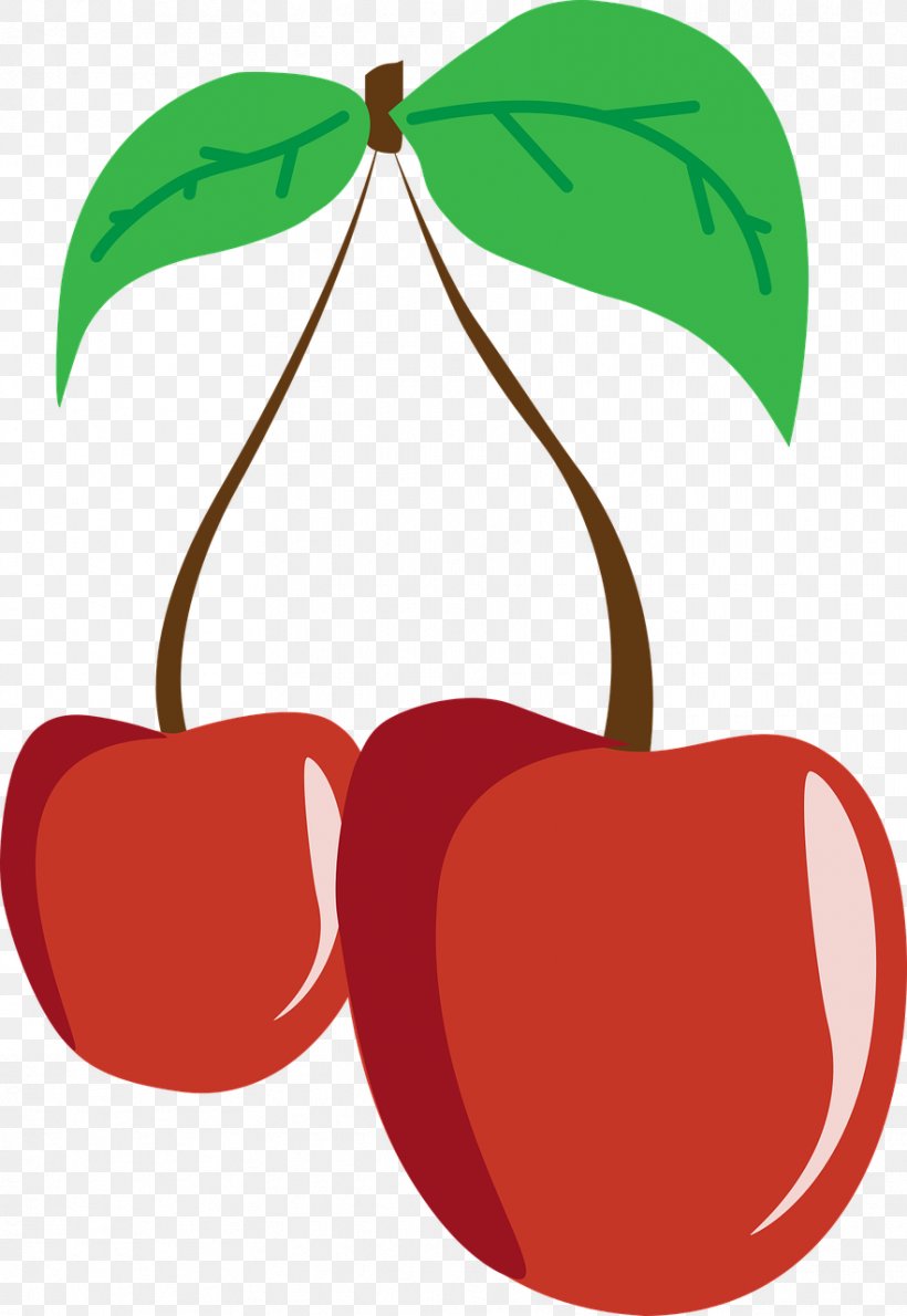 Cherry Fruit Nutrition Clip Art, PNG, 882x1280px, Cherry, Apple, Artwork, Auglis, Cherry Leaf Spot Download Free