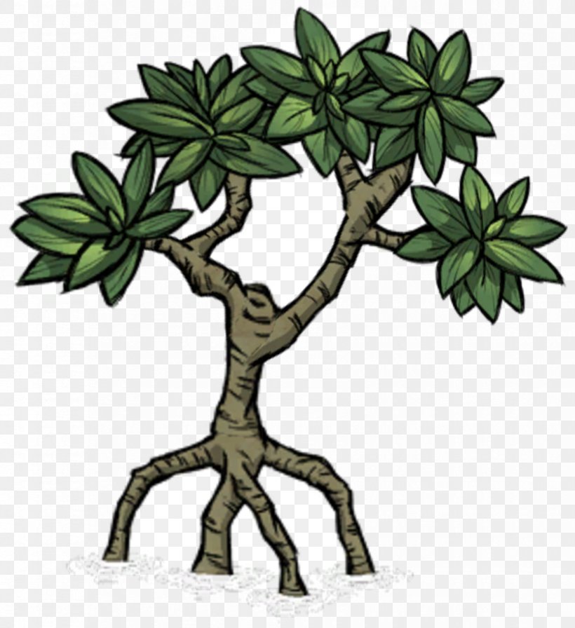 Mangrove Tree Don't Starve Plant Biome, PNG, 839x917px, Mangrove, Biome, Branch, Flower, Flowering Plant Download Free