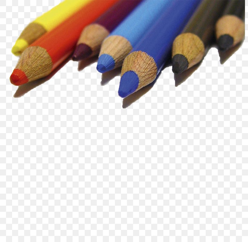 Pencil Paper Cora Crayon, PNG, 800x800px, Pen, Color, Cora, Crayon, Drawing Download Free