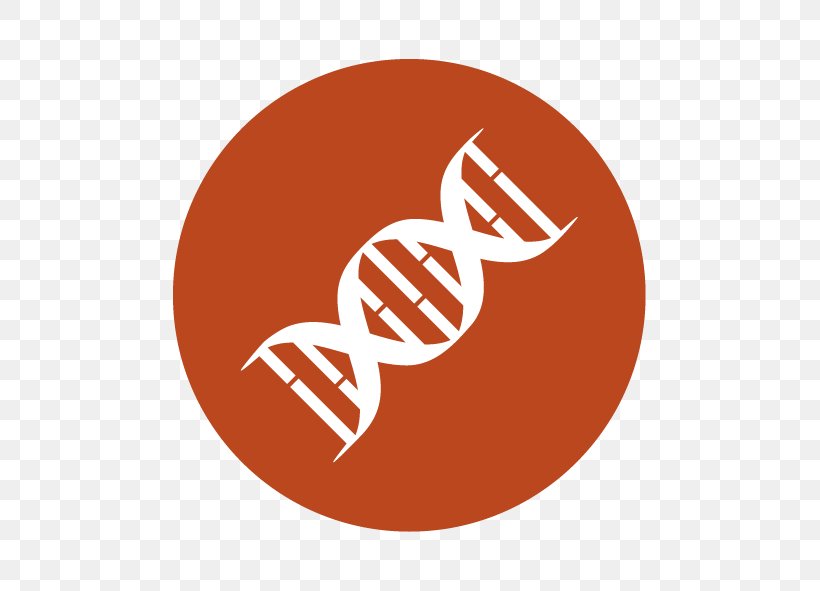Symbol DNA Clip Art, PNG, 591x591px, Symbol, Brand, Dna, Dna Profiling, Gene Download Free