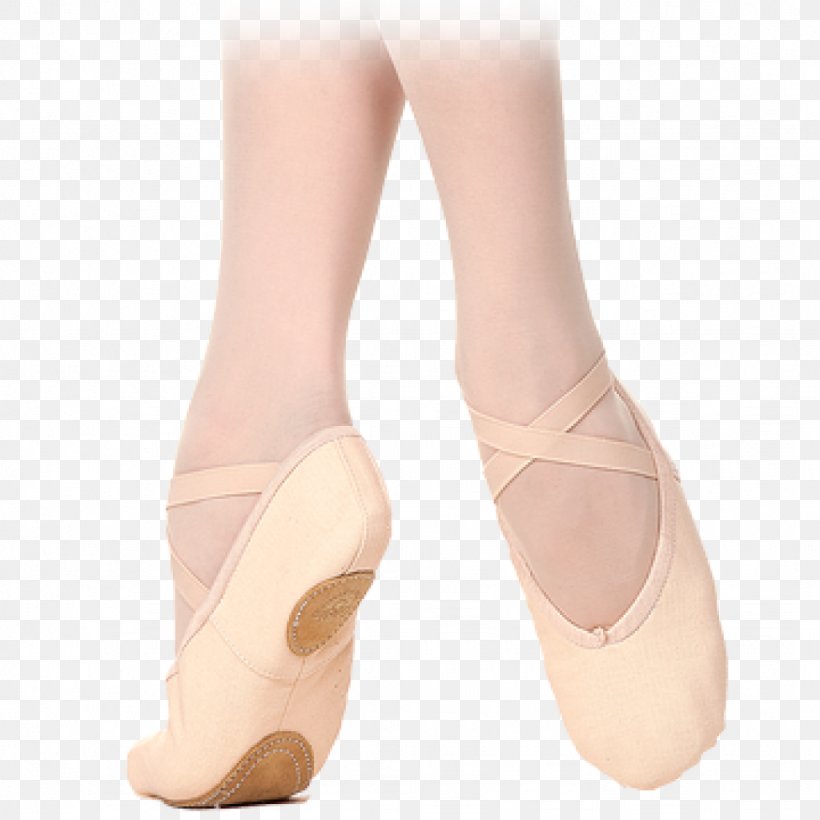 Ballet Flat Ballet Shoe Slipper Pointe Shoe, PNG, 1024x1024px, Watercolor, Cartoon, Flower, Frame, Heart Download Free