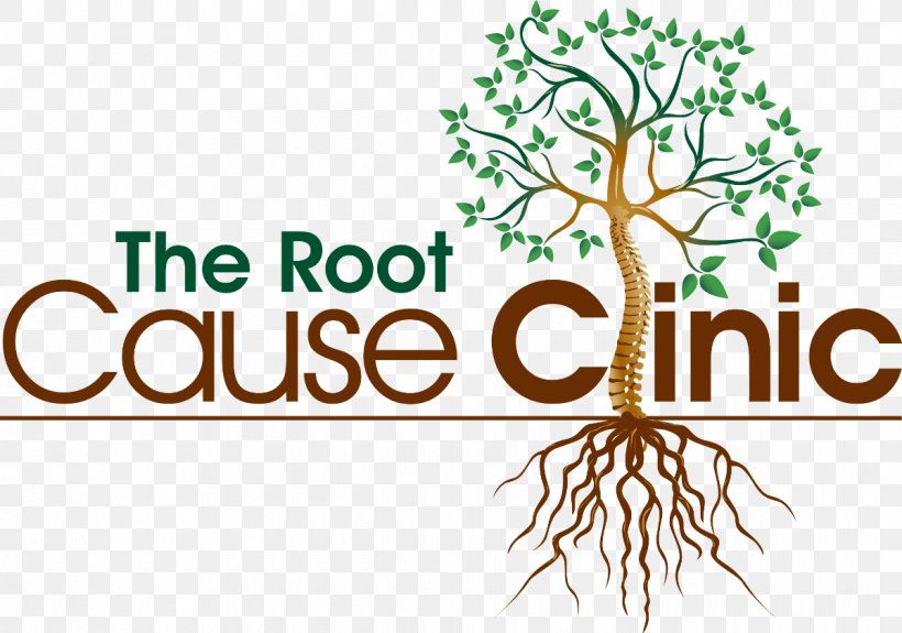 The Root Cause Clinic Thyroid Disease Physician Hospital, PNG, 1200x842px, Thyroid Disease, Branch, Brand, Cancer, Clinic Download Free