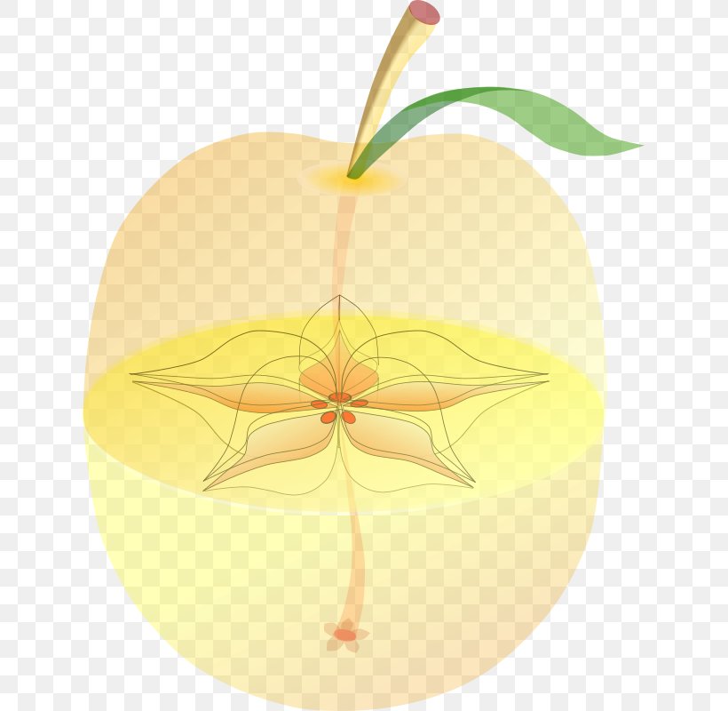 Apple Fruit Clip Art, PNG, 633x800px, Apple, Commodity, Food, Fruit, Leaf Download Free