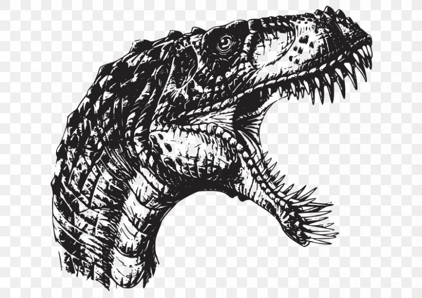 Crocodile Velociraptor Masiakasaurus Spinosaurus Deinonychus, PNG, 842x596px, Crocodile, Adasaurus, Araripesuchus, Archosaur, Black And White Download Free