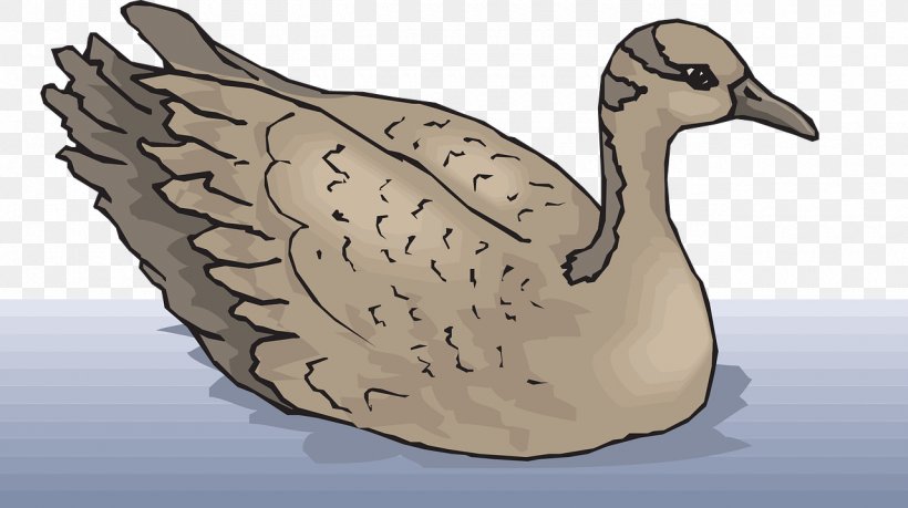 Goose Cygnini Bird Clip Art, PNG, 1280x718px, Goose, Beak, Bird, Cygnini, Duck Download Free