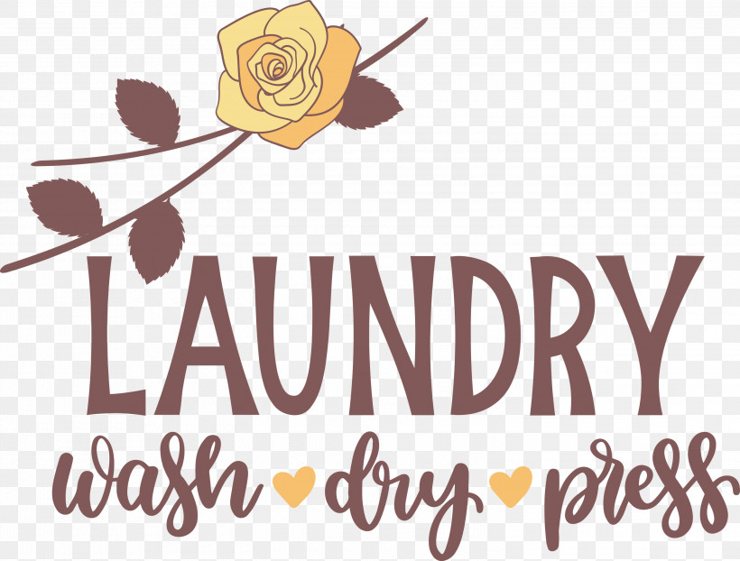 Laundry Wash Dry, PNG, 3000x2278px, Laundry, Biology, Calligraphy, Dry, Flower Download Free
