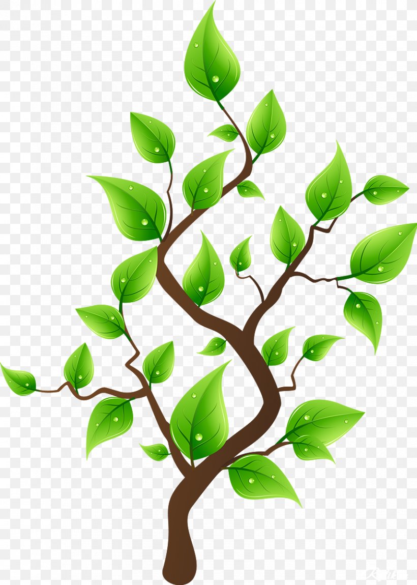 Tree Planting Drawing Clip Art, PNG, 855x1200px, Tree, Animation, Branch, Cartoon, Drawing Download Free