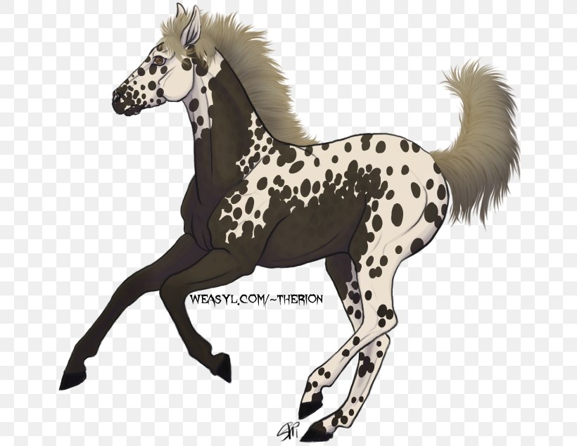 Foal Mustang Colt Stallion Yearling, PNG, 662x634px, Foal, Animal Figure, Colt, Deviantart, Halter Download Free
