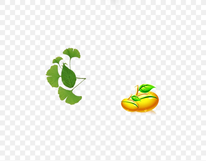 Leaf Icon, PNG, 648x642px, Leaf, Area, Computer, Fruit, Grass Download Free