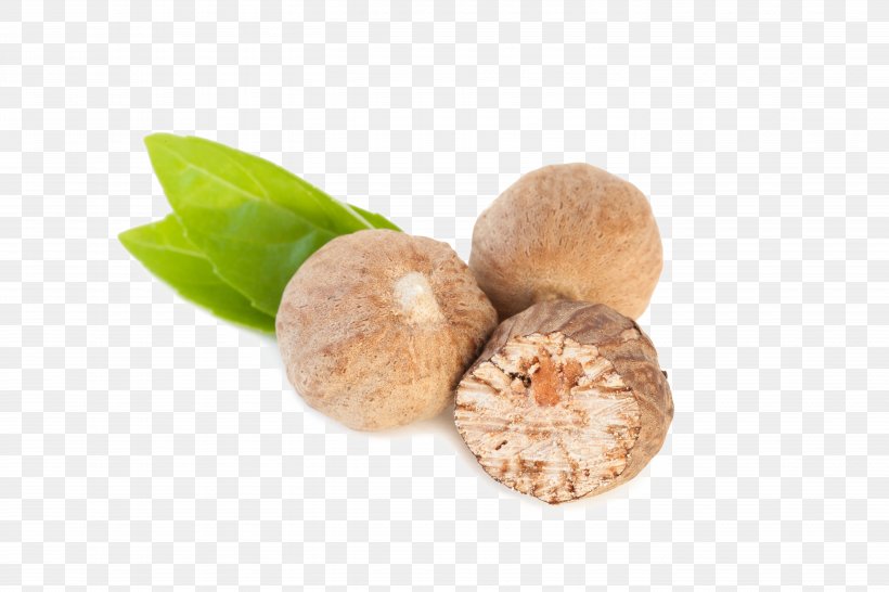 Nutmeg Oil Clove Spice Ingredient, PNG, 5616x3744px, Nutmeg, Areca Nut, Cinnamon, Clove, Essential Oil Download Free