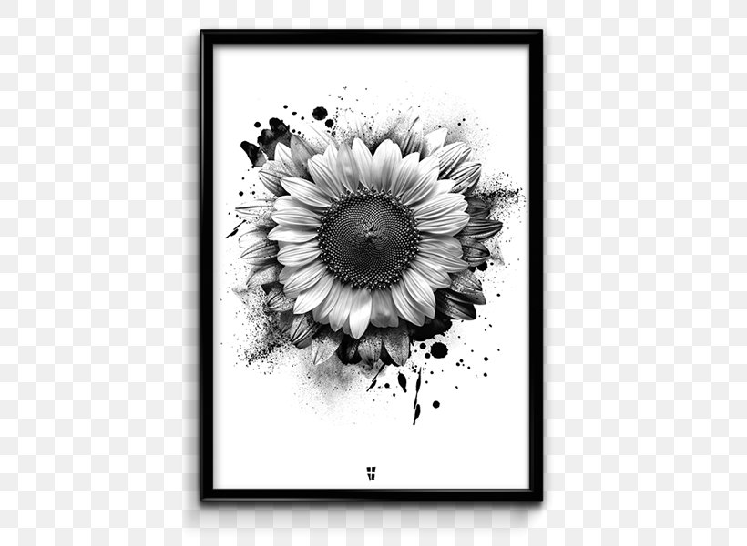 Poster Omega Phi Beta Monochrome Photography, PNG, 600x600px, Poster, Artwork, Black And White, Chrysanths, Daisy Family Download Free