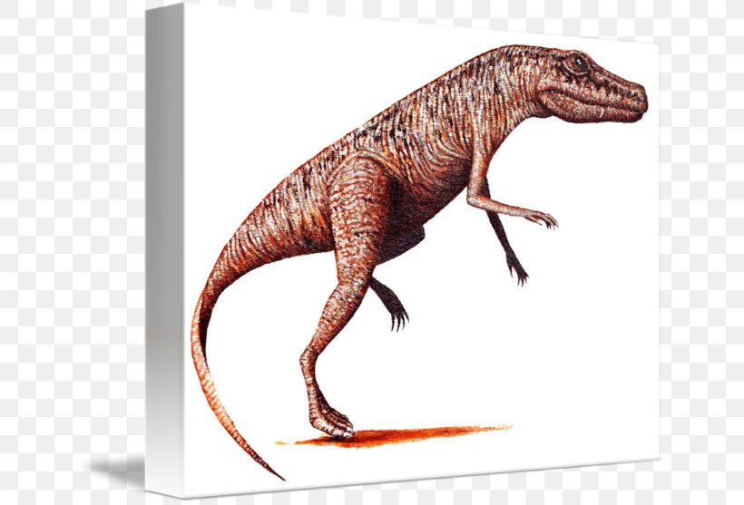 Tyrannosaurus Velociraptor Terrestrial Animal, PNG, 650x557px, Tyrannosaurus, Animal, Dinosaur, Extinction, Fauna Download Free