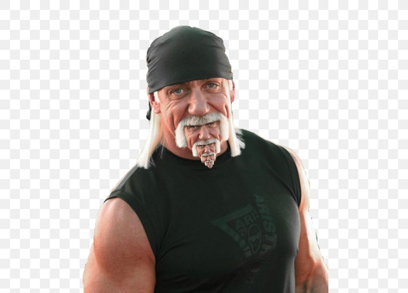 Hulk Hogan WrestleMania I Professional Wrestler Professional Wrestling, PNG, 500x589px, Watercolor, Cartoon, Flower, Frame, Heart Download Free