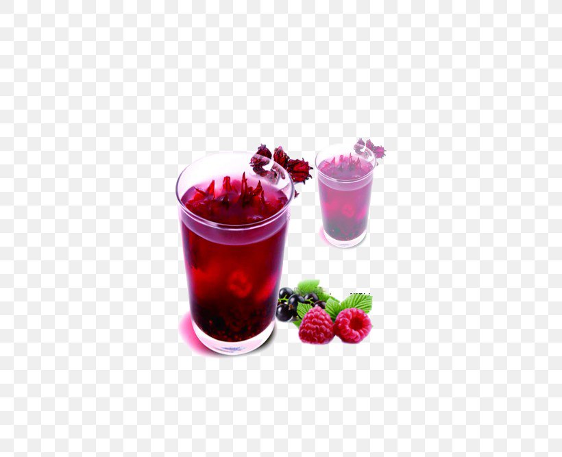 Juice Blueberry Computer File, PNG, 500x667px, Juice, Auglis, Berry, Blueberry, Blueberry Tea Download Free