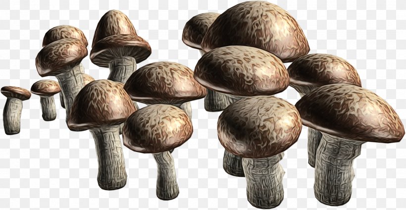 Mushroom Cartoon, PNG, 1861x964px, Mushroom, Agaricaceae, Agaricomycetes, Agaricus, Agaricus Subrufescens Download Free