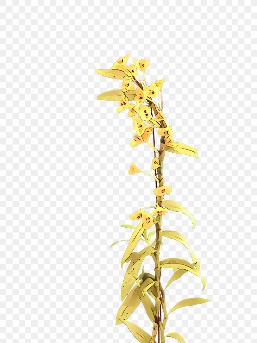 Yellow Plant Flower Twig Branch, PNG, 1732x2307px, Yellow, Branch, Flower, Plant, Plant Stem Download Free