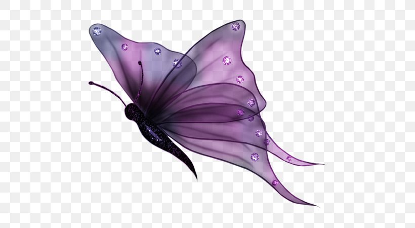 Full-Color Decorative Butterfly Illustrations Clip Art Transparency, PNG, 575x450px, Butterfly, Brush Footed Butterfly, Dolphin, Fish, Flower Download Free