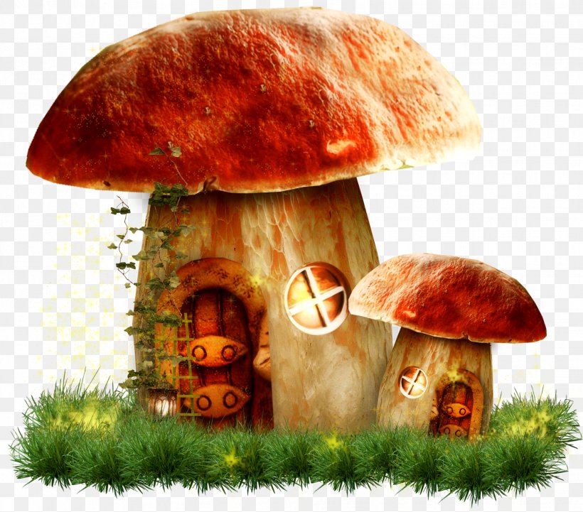 Mushroom Clip Art, PNG, 1936x1703px, Mushroom, Autumn, Child, Fungus, Organism Download Free
