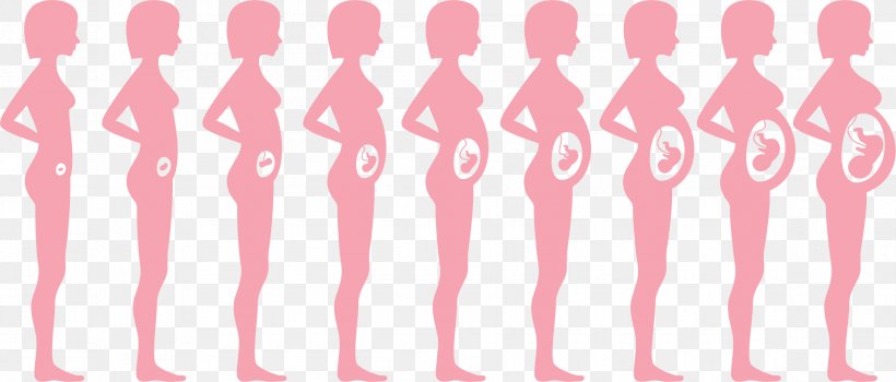 Pregnancy Fetus Infant Woman, PNG, 2345x1001px, Pregnancy, Child, Estimated Date Of Confinement, Fetus, Infant Download Free