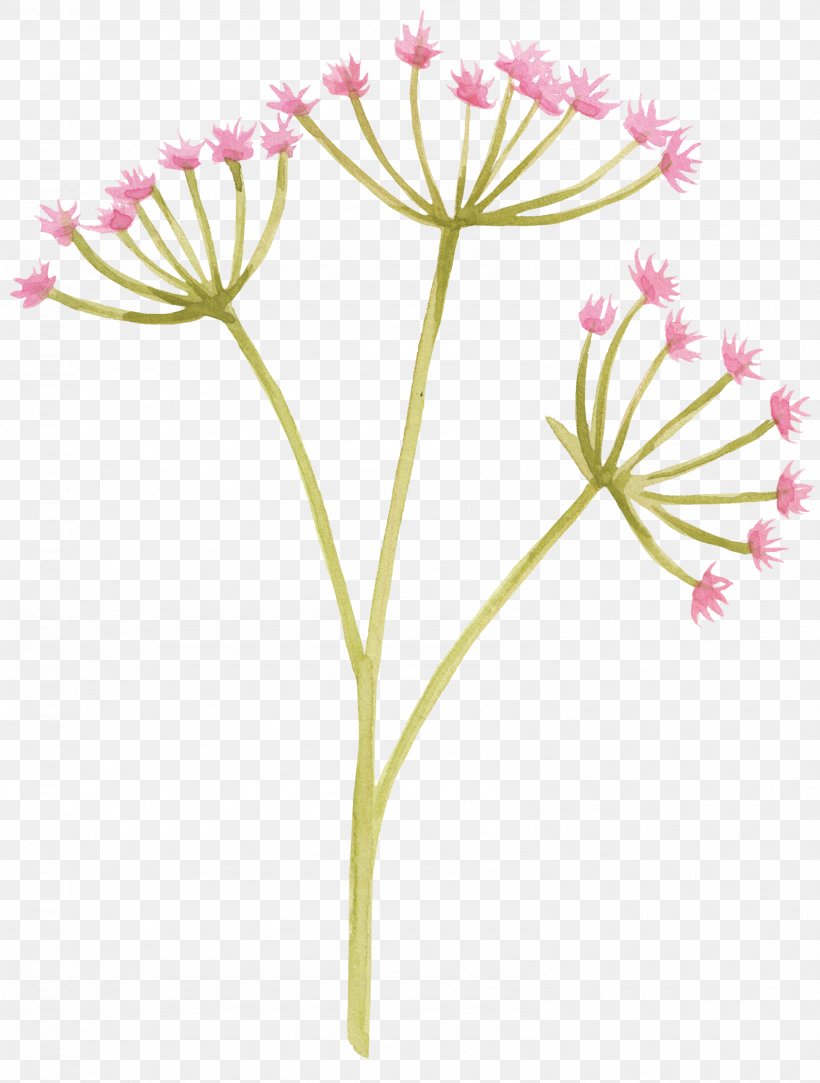 Common Dandelion Flower Purple, PNG, 1589x2100px, Common Dandelion, Chrysanths, Cut Flowers, Dandelion, Drawing Download Free