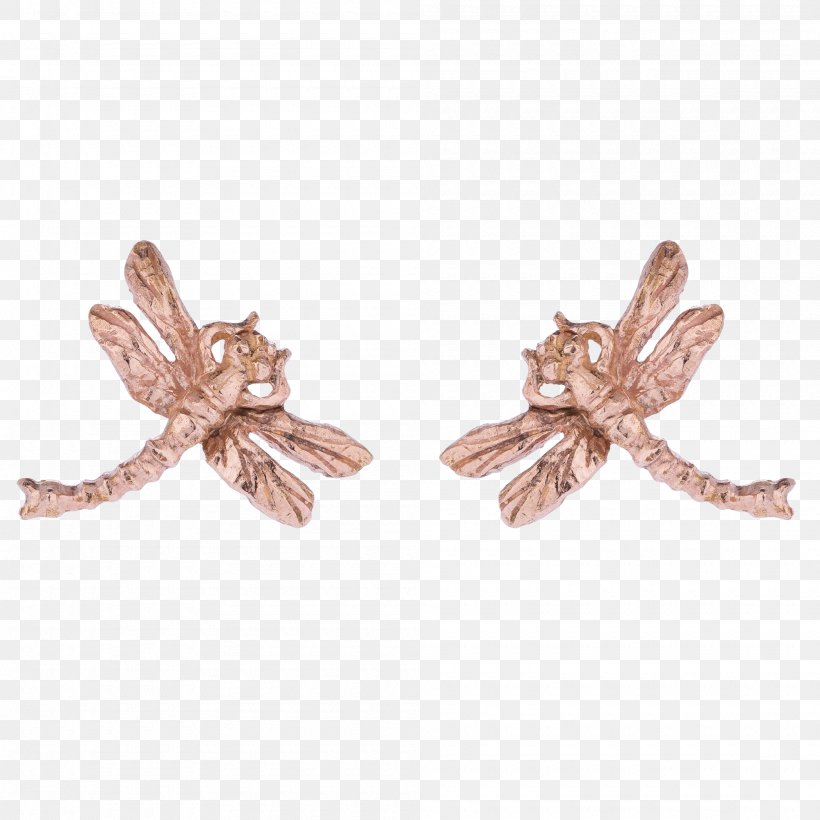 Earring Jewellery Clothing Accessories Gold Necklace, PNG, 2000x2000px, Earring, Asterope, Bangle, Body Jewellery, Body Jewelry Download Free