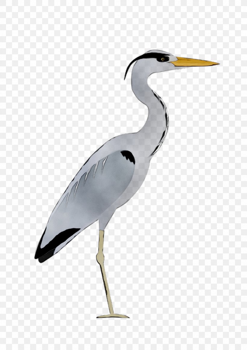 Great Egret Heron Bird Stork Beak, PNG, 1106x1565px, Great Egret, Beak, Bird, Ciconiiformes, Crane Download Free