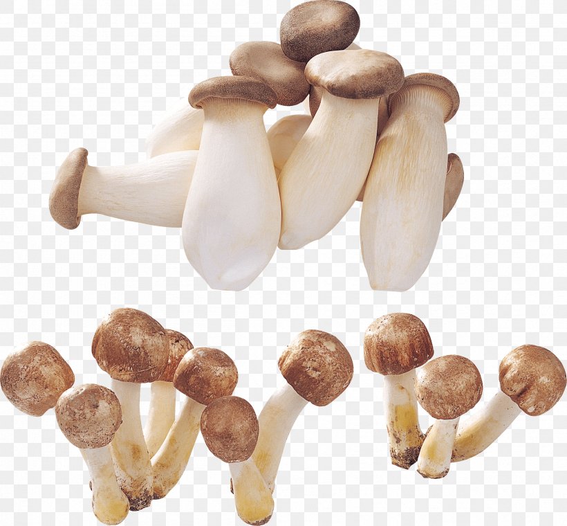 Mushroom Image, PNG, 2414x2240px, Mushroom, Edible Mushroom, Food, Fungus, Image File Formats Download Free