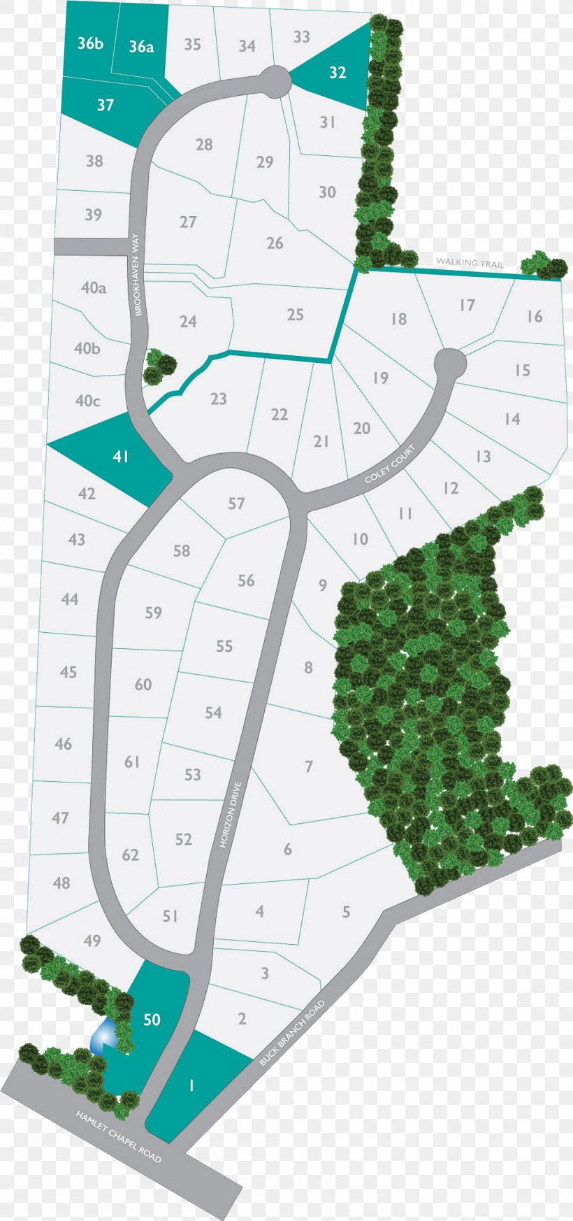 Pittsboro Horizon Drive Leaf Capitol City Homes, PNG, 1000x2130px, Pittsboro, Area, Diagram, Driving, Grass Download Free
