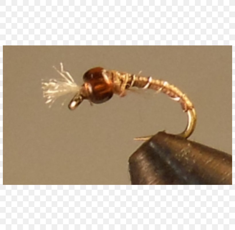 Barbed Wire Metal Copper Insect, PNG, 800x800px, Wire, Barbed Wire, Bead, Color, Copper Download Free