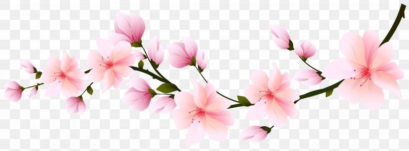 Cherry Blossom Flower Clip Art, PNG, 8000x2971px, Blossom, Animaatio, Azalea, Branch, Bud Download Free