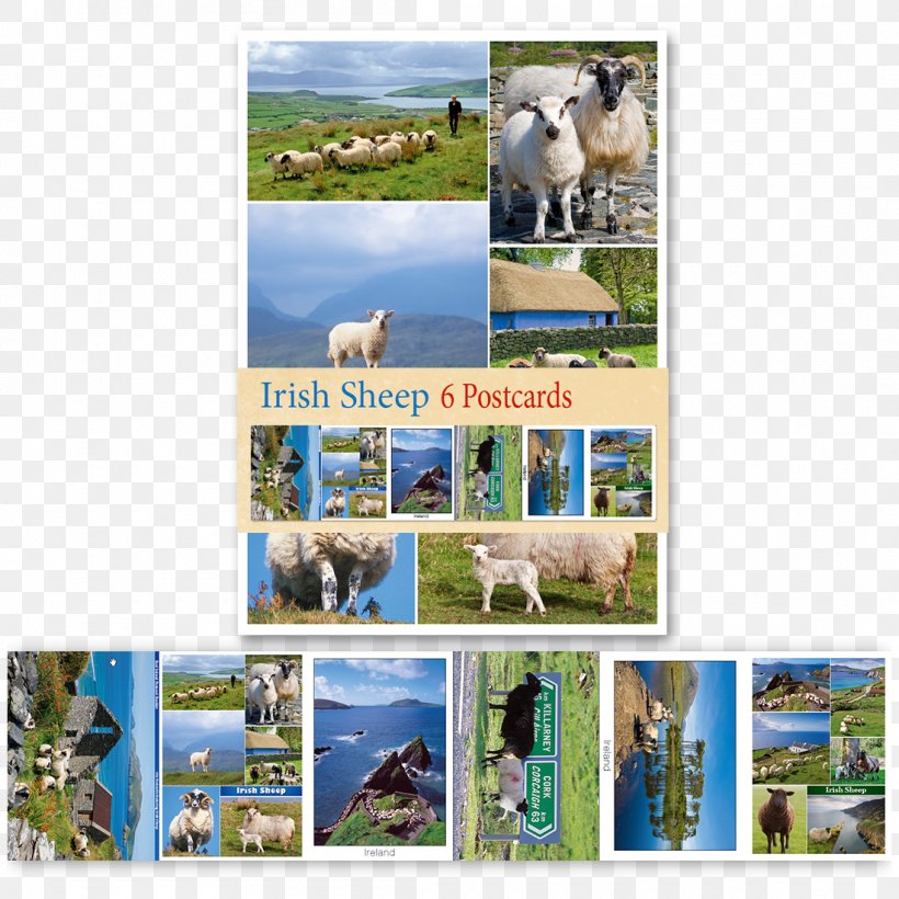 Republic Of Ireland Ireland Calendar 2019 Irish Dog Breed, PNG, 1100x1100px, Republic Of Ireland, Advertising, Calendar, Collage, Country Download Free