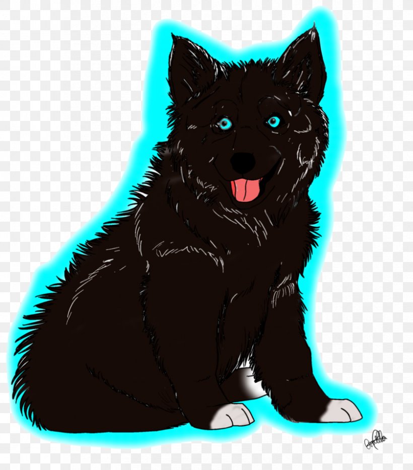 Schipperke Black Cat Whiskers Dog Breed, PNG, 838x954px, Schipperke, Black, Black Cat, Breed, Carnivoran Download Free