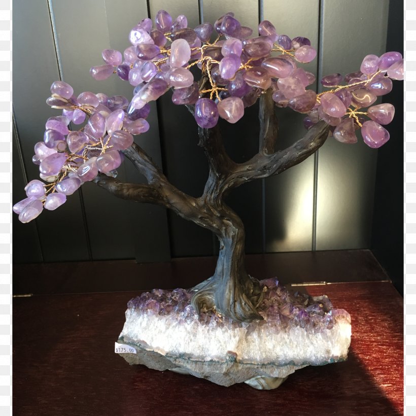 Bonsai Flower Branching, PNG, 2048x2048px, Bonsai, Branch, Branching, Flower, Houseplant Download Free