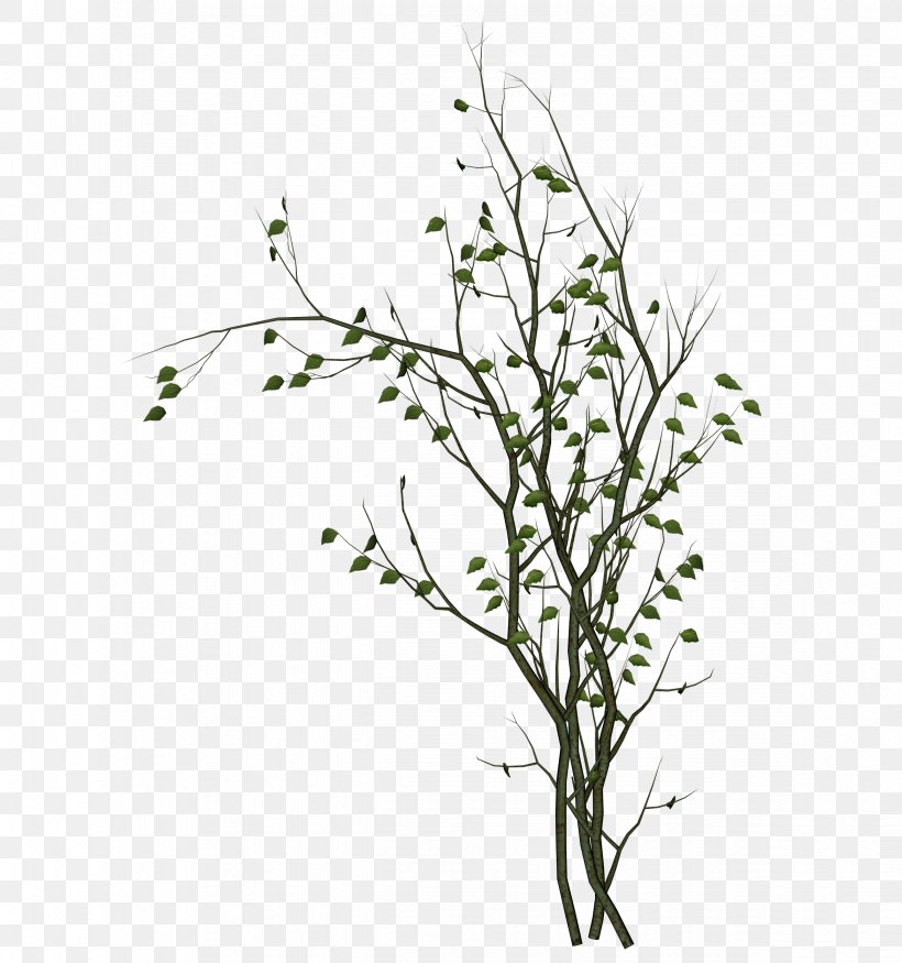 Clip Art, PNG, 2342x2500px, Twig, Black And White, Branch, Database, Flora Download Free