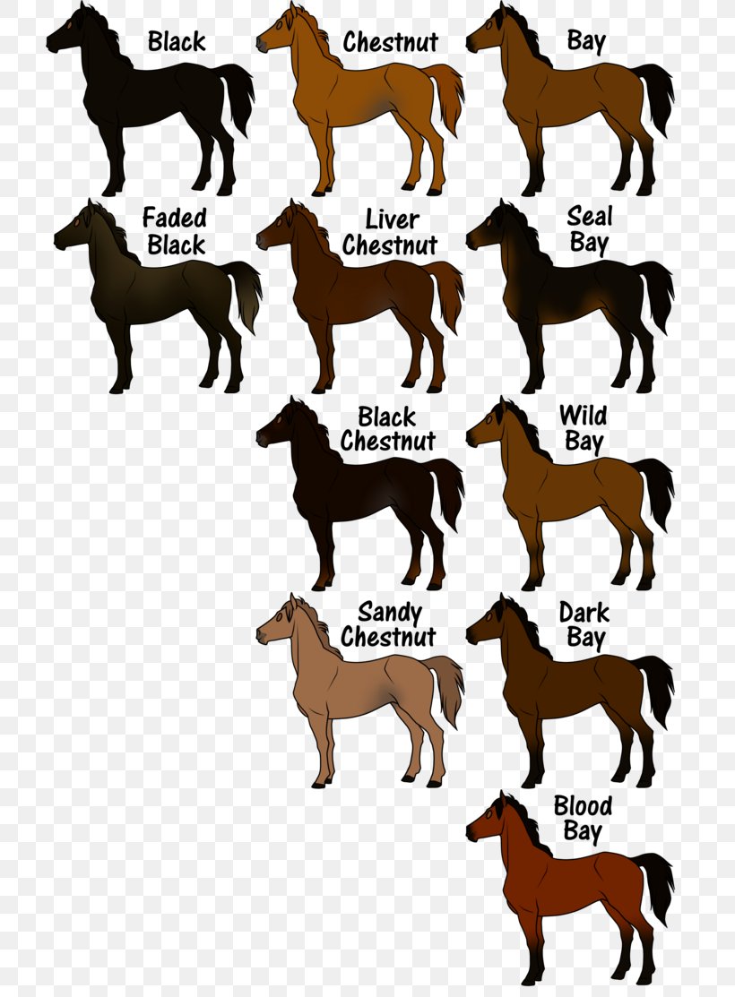 Mustang Thoroughbred Equine Coat Color Genetics Pony, PNG, 717x1113px, Mustang, Animal Figure, Bay, Black, Brindle Download Free