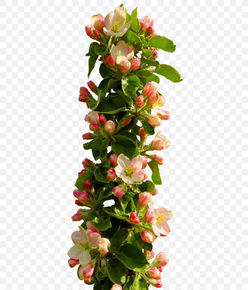 Border Flowers Flower Bouquet Clip Art, PNG, 500x961px, Border Flowers, Annual Plant, Cut Flowers, Flower, Flower Bouquet Download Free