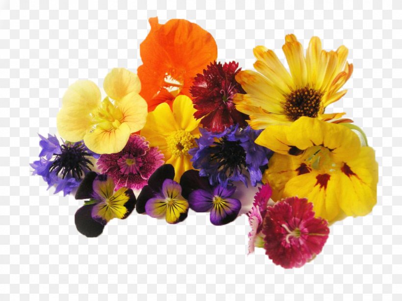 Edible Flower Cut Flowers Organic Food Salad, PNG, 1024x768px, Flower, Annual Plant, Cut Flowers, Edible Flower, Floral Design Download Free