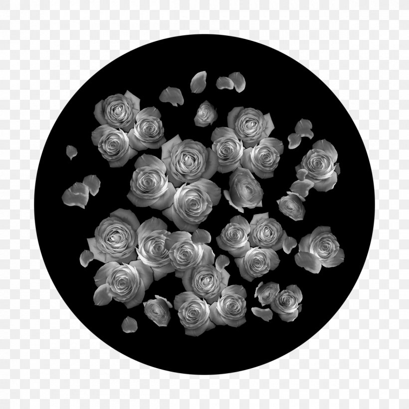 Gobo Circle Glass White Rose, PNG, 1200x1200px, Gobo, Black And White, Breakup, Glass, Monochrome Download Free