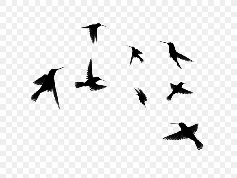 Hummingbird Bird Flight Silhouette Clip Art, PNG, 1031x774px, Bird, Animal Migration, Beak, Bird Flight, Bird Migration Download Free