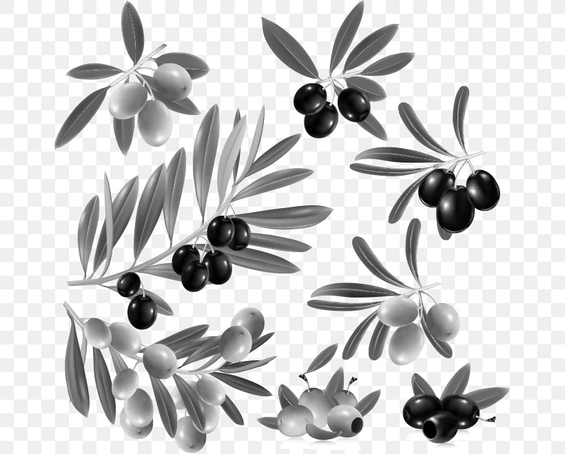 Olive Leaf Fruit Clip Art, PNG, 662x659px, Olive, Black And White, Branch, Flora, Food Download Free