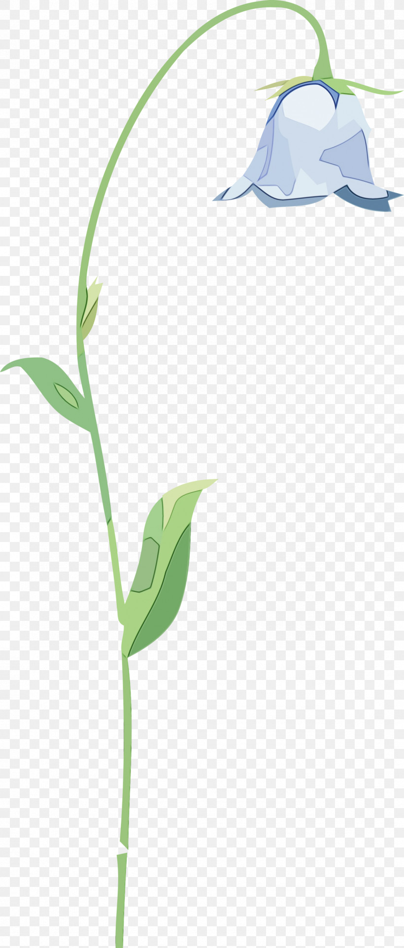 Flower Plant Stem Grasses Leaf Lilac, PNG, 1278x2999px, Watercolor, Branching, Flora, Flower, Grasses Download Free