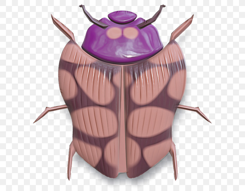 Insect Beetle Bug, PNG, 640x640px, Insect, Beetle, Bug Download Free