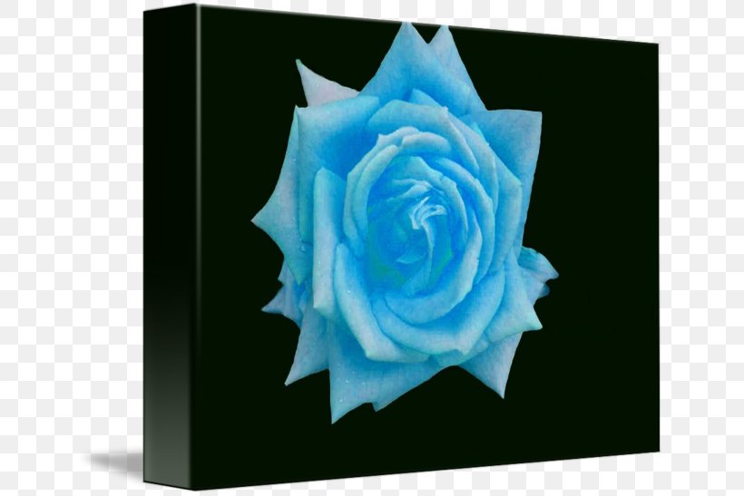 Blue Rose Flower Garden Roses Petal, PNG, 650x547px, Blue Rose, Aqua, Baby Blue, Blue, Cobalt Blue Download Free
