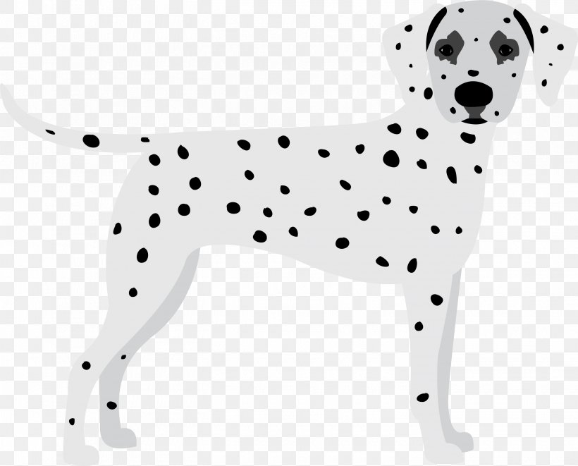 Dog Dalmatian Animal Figure Non-sporting Group Snout, PNG, 2905x2344px, Dog, Animal Figure, Dalmatian, Nonsporting Group, Snout Download Free