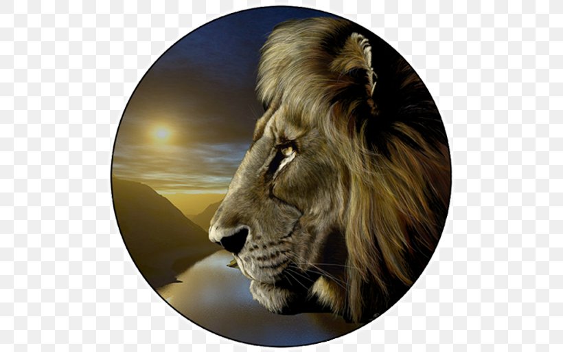 Lionhead Rabbit Tiger Roar Cougar, PNG, 512x512px, Lion, Animal, Art, Big Cats, Carnivoran Download Free