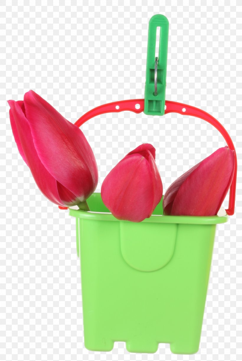 Toy Clip Art, PNG, 2117x3159px, Toy, Clothespin, Flower, Flowerpot, Magenta Download Free