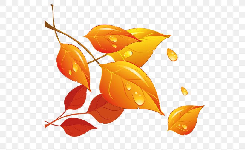 Autumn Leaf Clip Art, PNG, 600x503px, Autumn, Albom, Art, Flower, Flowering Plant Download Free